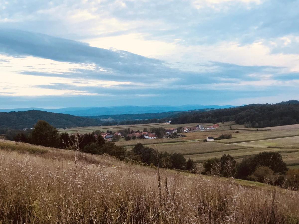 Landvilla Sinelia Premium Dietersdorf am Gnasbach エクステリア 写真