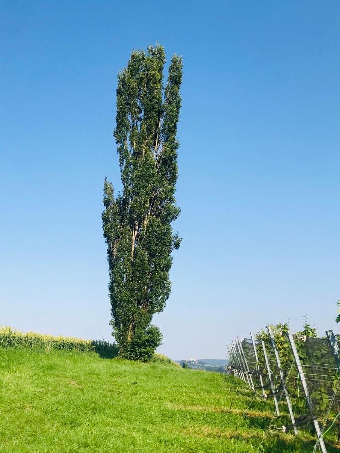 Landvilla Sinelia Premium Dietersdorf am Gnasbach エクステリア 写真