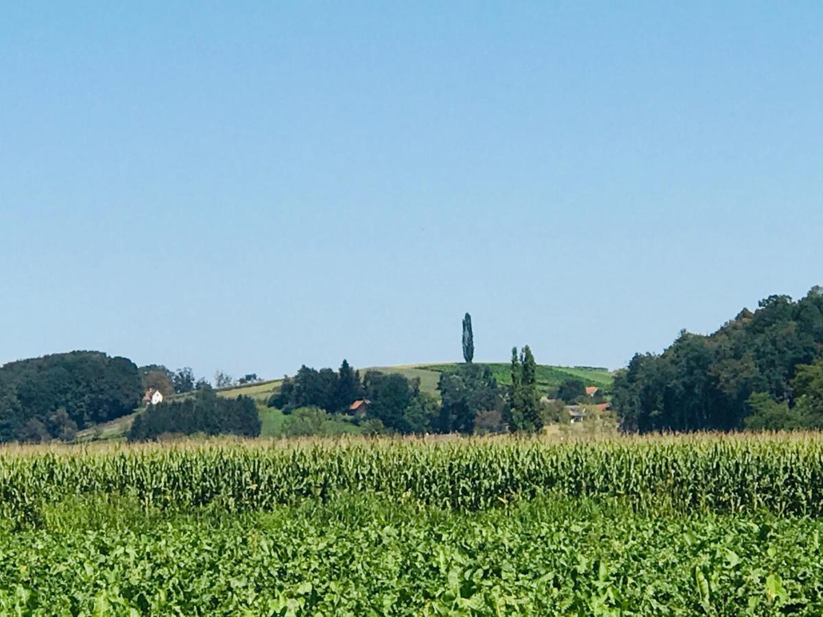 Landvilla Sinelia Premium Dietersdorf am Gnasbach エクステリア 写真
