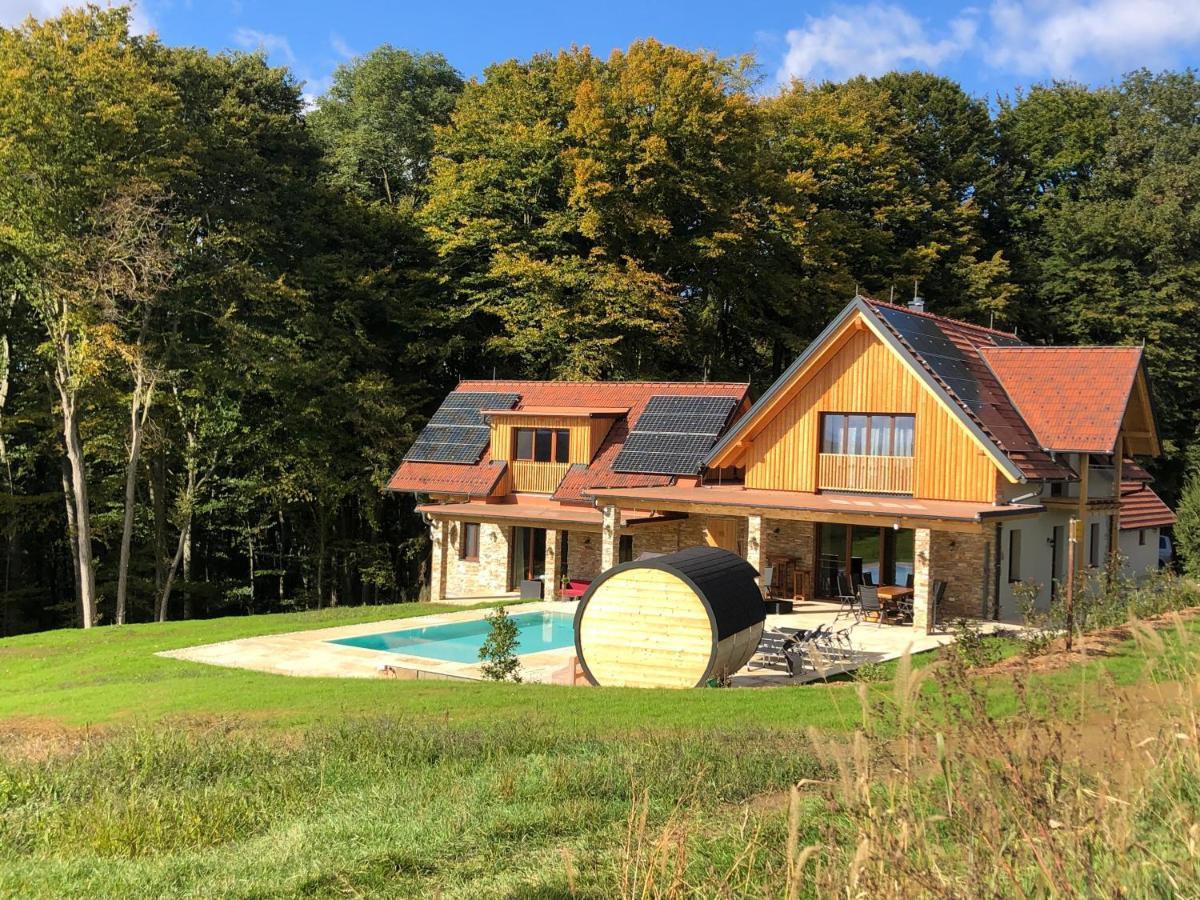 Landvilla Sinelia Premium Dietersdorf am Gnasbach エクステリア 写真